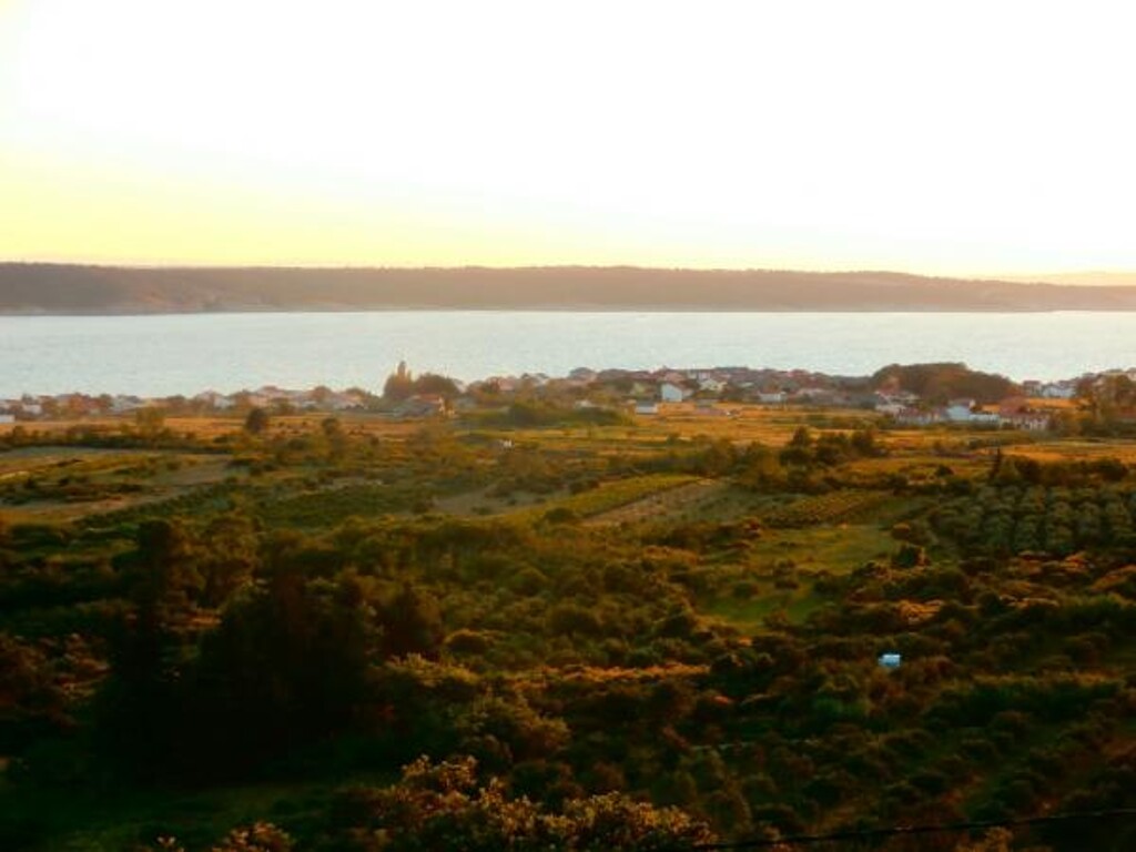 Image 3832240 - 25