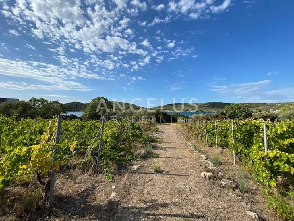 Image 6208777 - 12