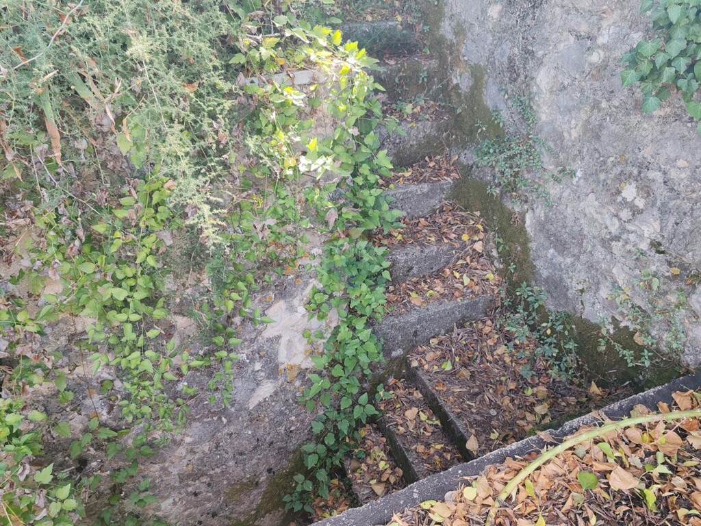 Image 15