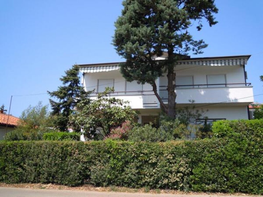 Image 3810945 - 2