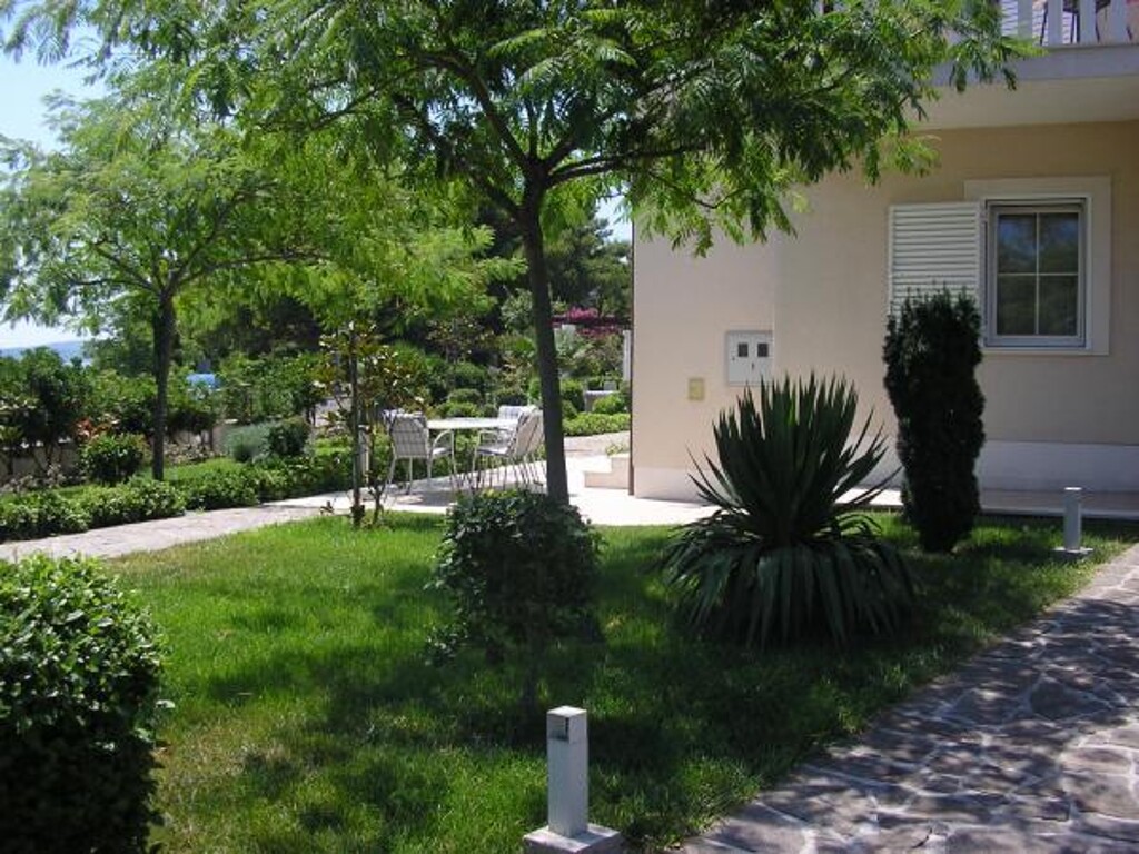 Image 3812262 - 10