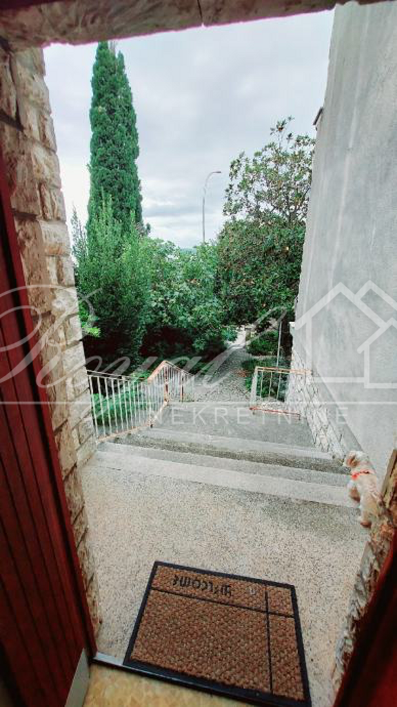 Image 15