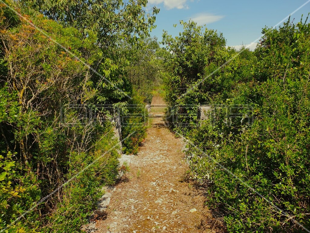 Image 6158224 - 4