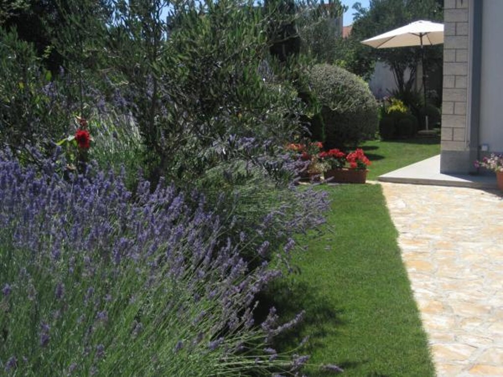 Image 3812578 - 2