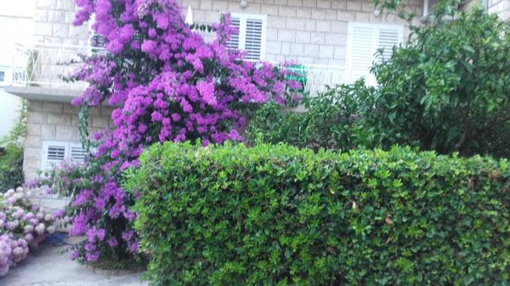 Image 3839003 - 6
