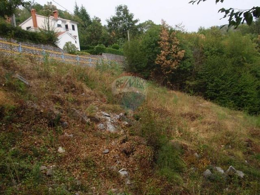 Image 5411278 - 11