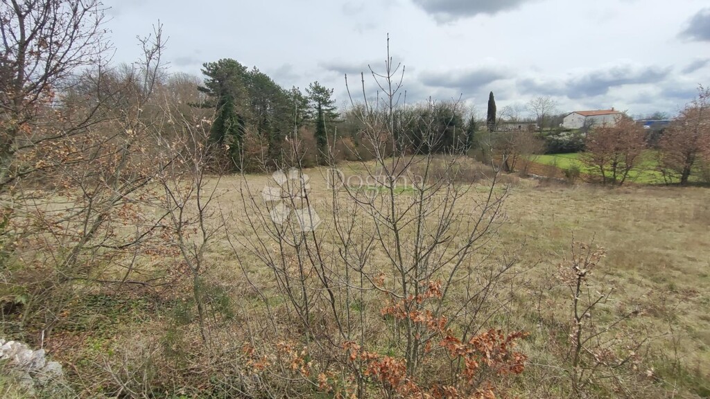 Image 13