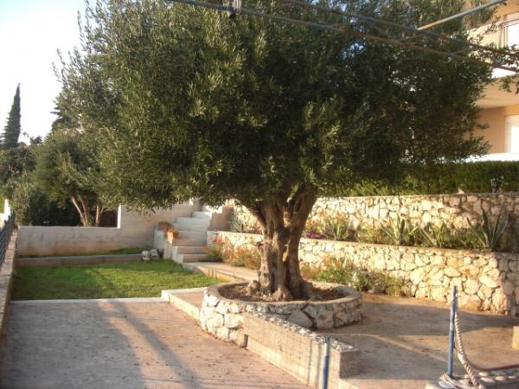 Image 3811080 - 9