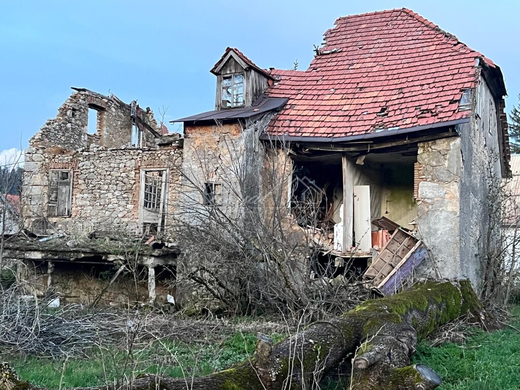 Image 12