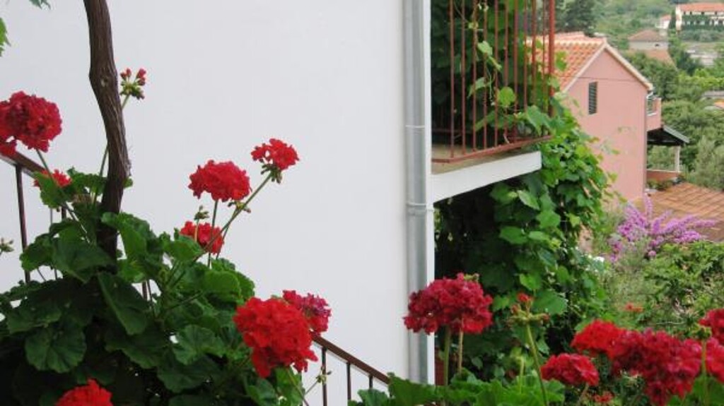Image 3813845 - 9