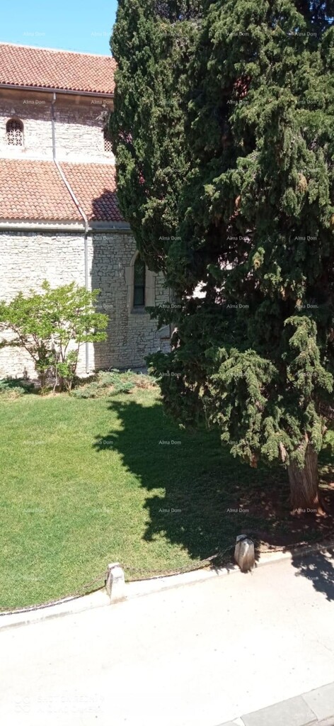 Image 14