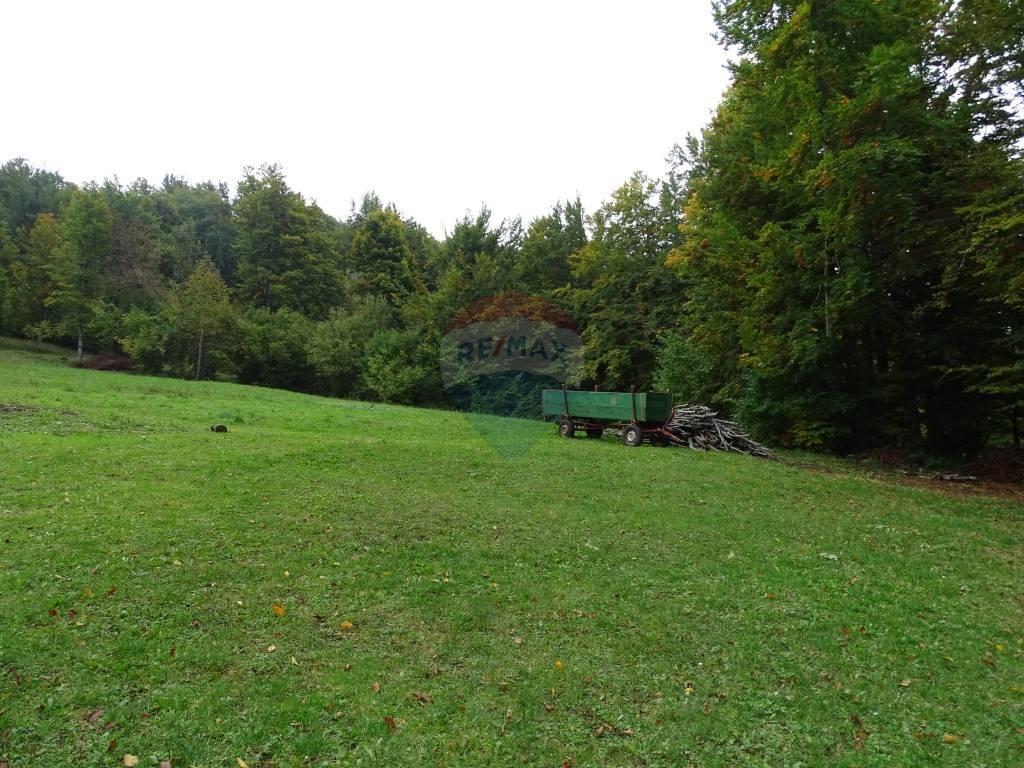 Image 5410458 - 16