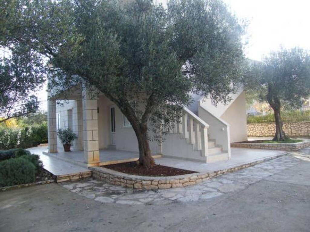 Image 3838753 - 2