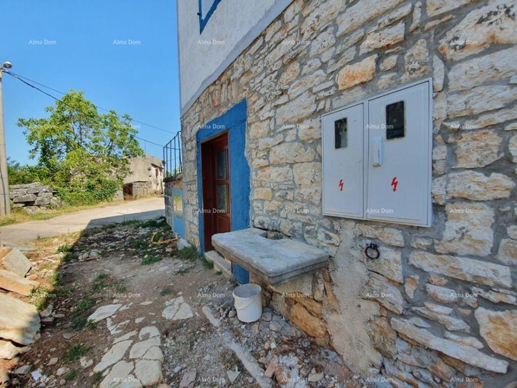 Image 12