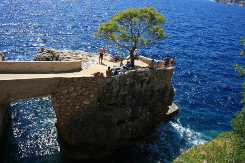 Image 3838511 - 11