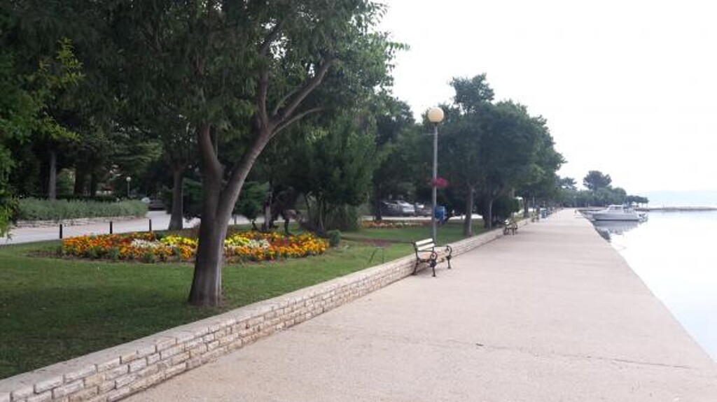 Image 3812390 - 19