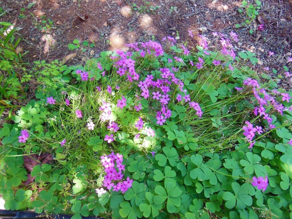 Image 14