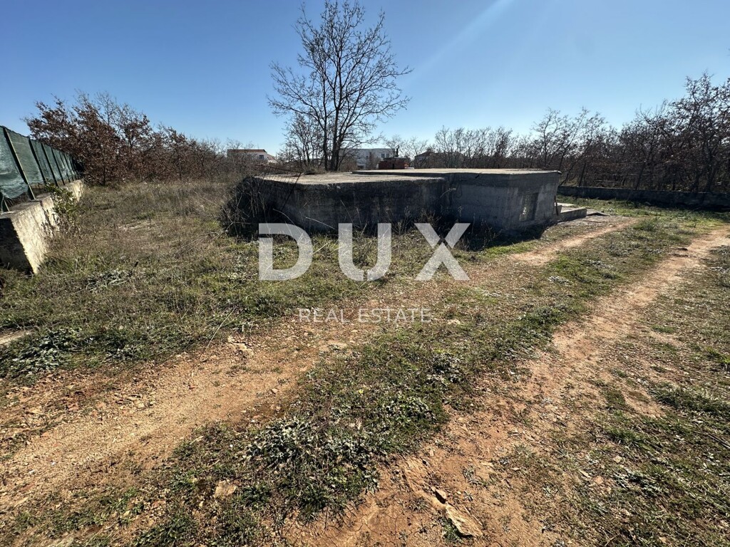 Image 11