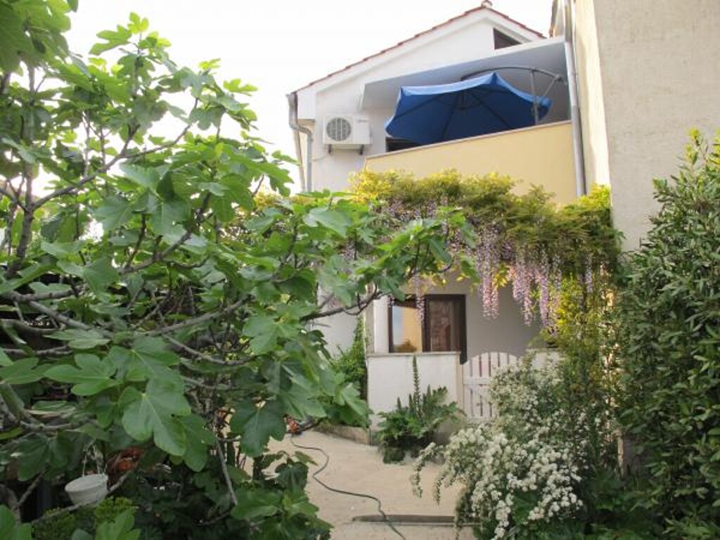 Image 3838735 - 5