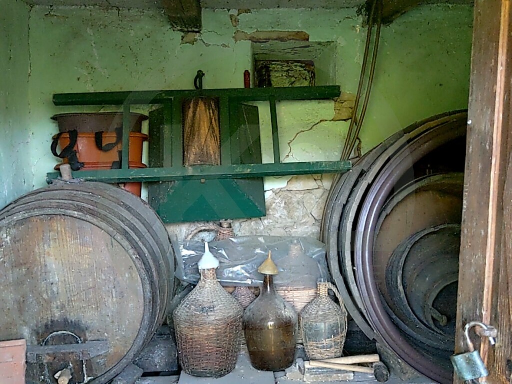 Image 9