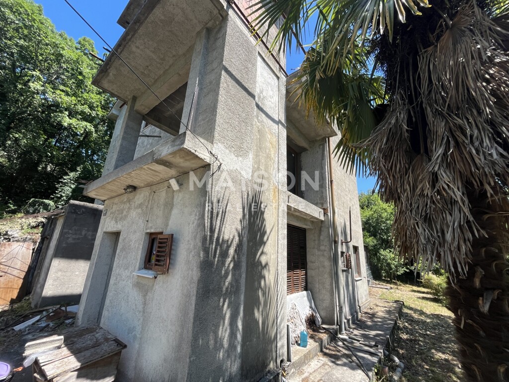 Image 15