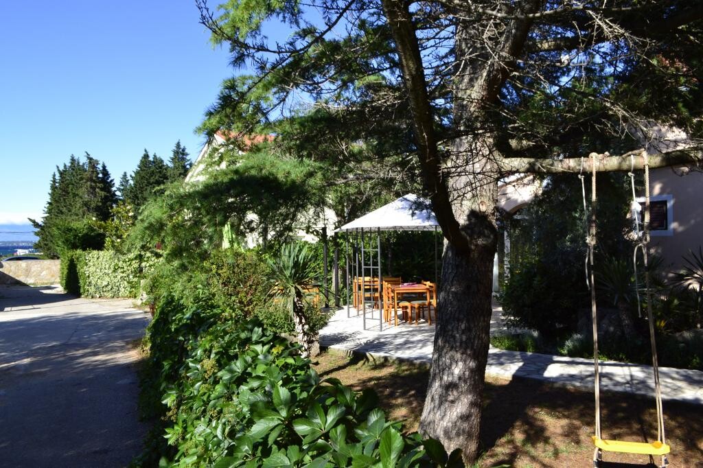 Image 3812611 - 10