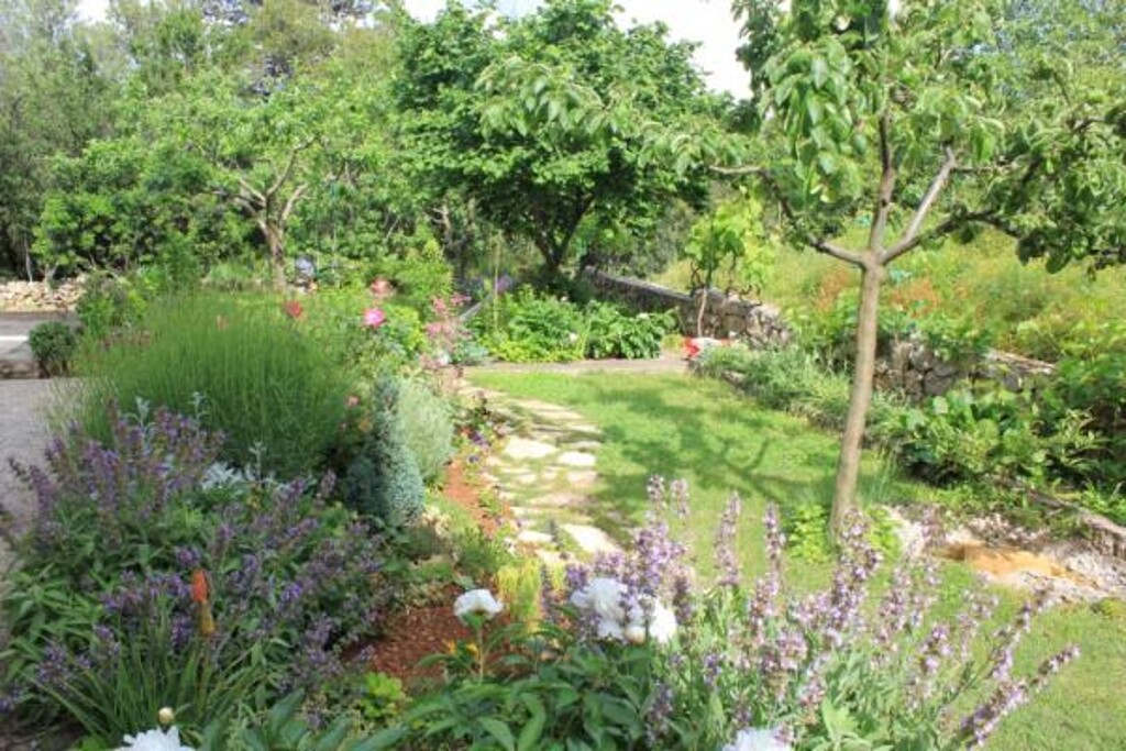 Image 3812078 - 2