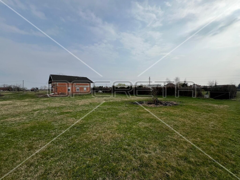 Image 13