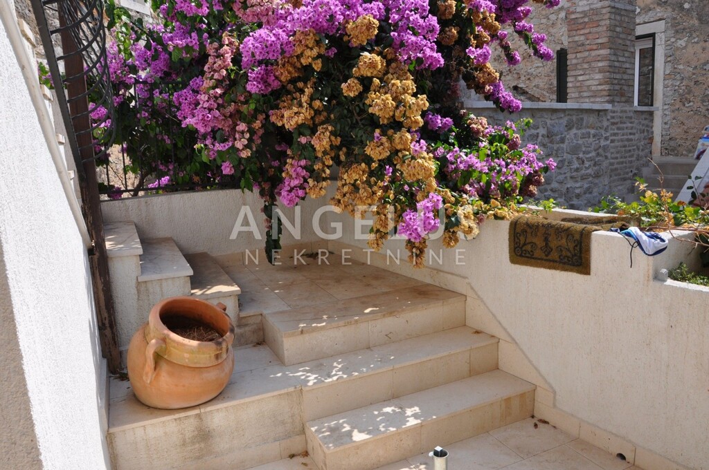 Image 19
