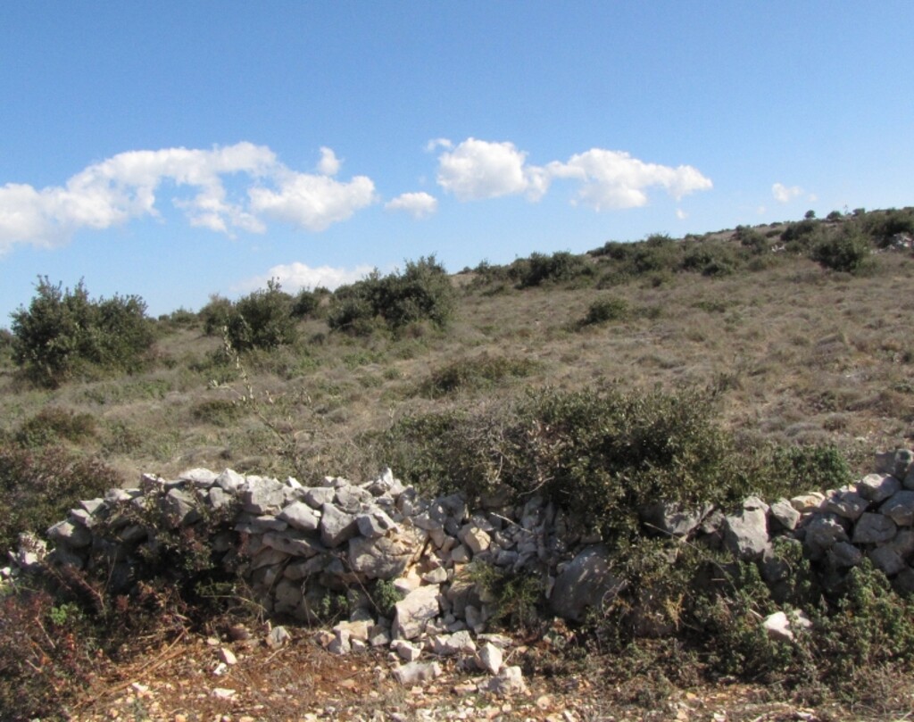 Image 4346588 - 1
