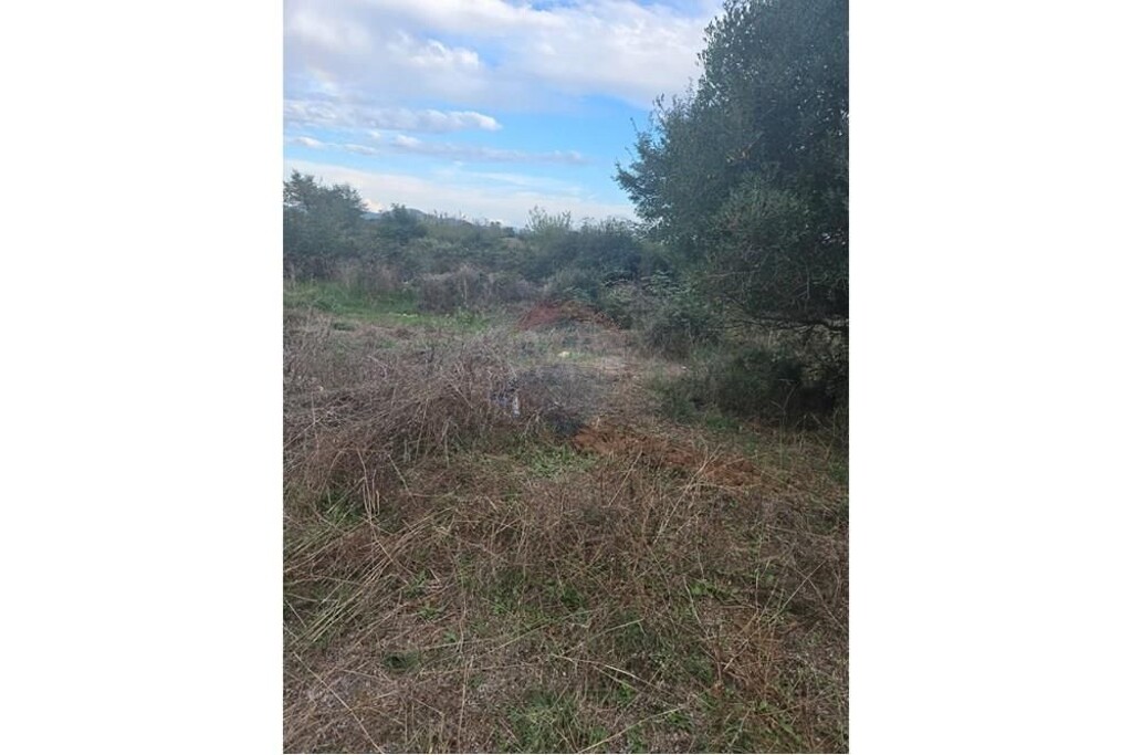 Image 13