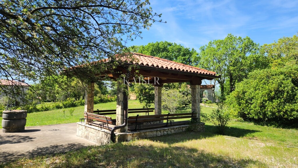 Image 11