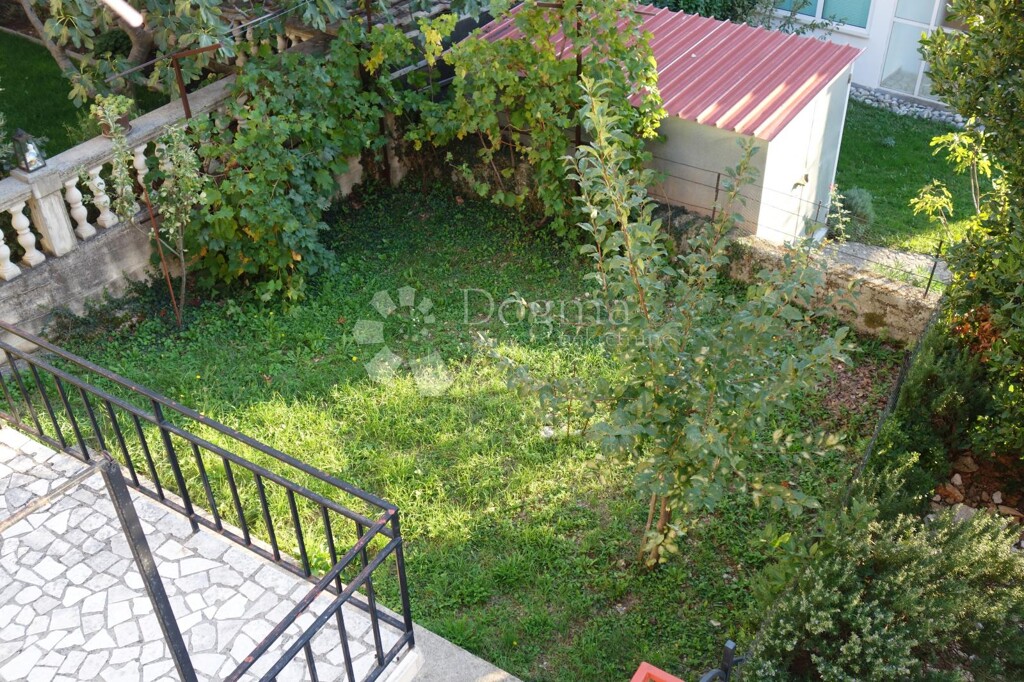 Image 13
