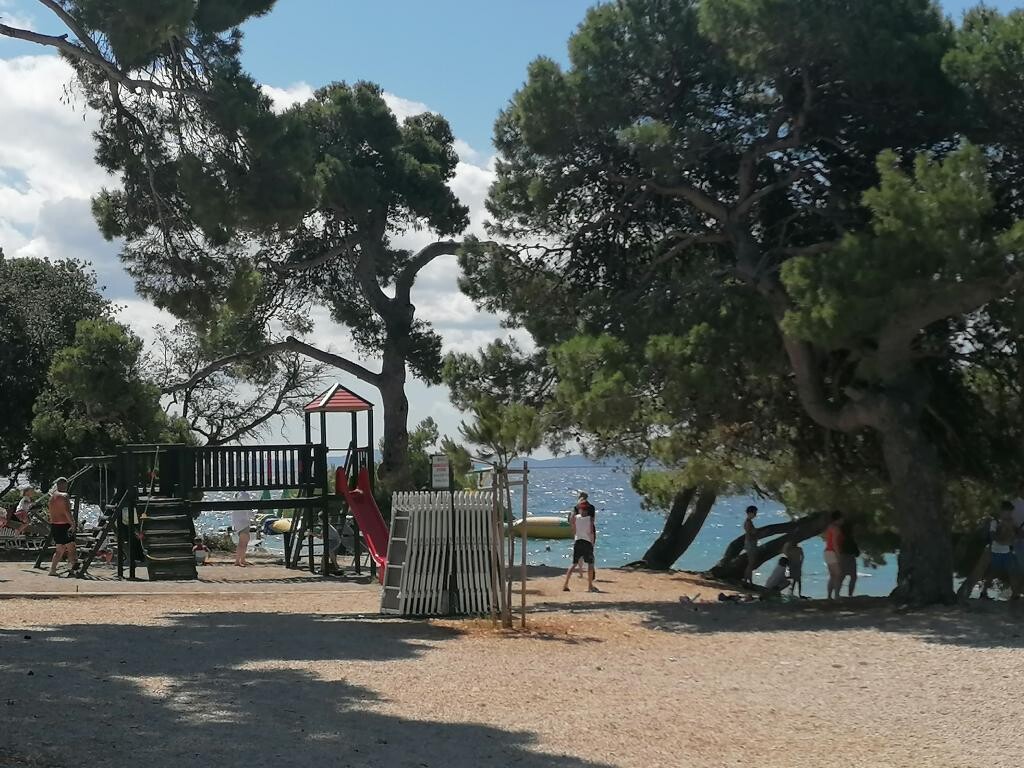 Image 12