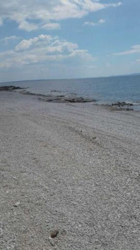 Image 3812638 - 8