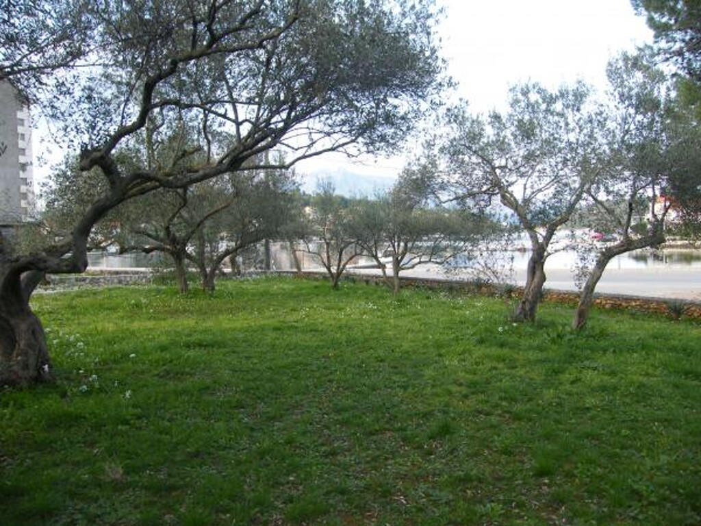 Image 3838753 - 17