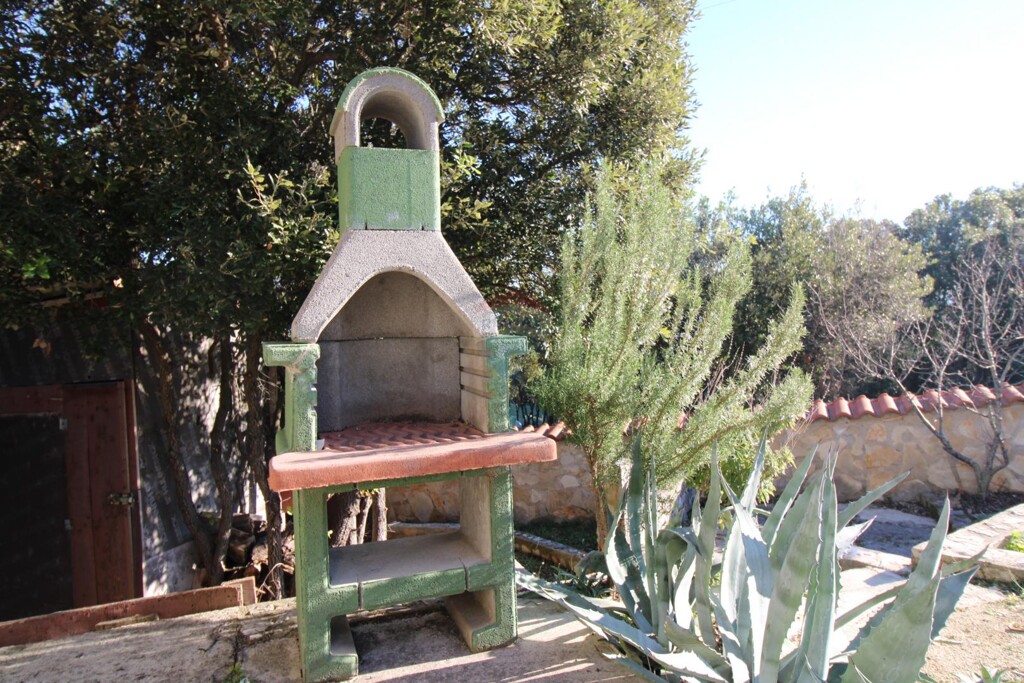 Image 8