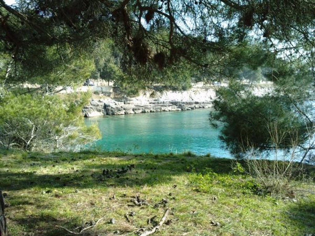 Image 3810857 - 3