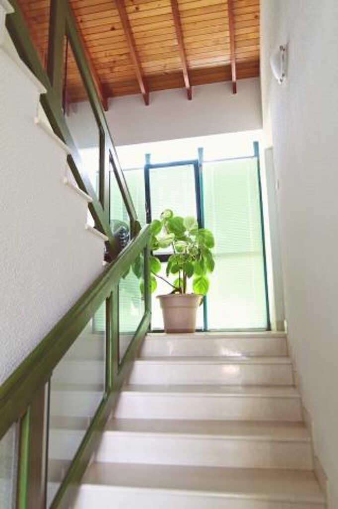 Image 3838861 - 11