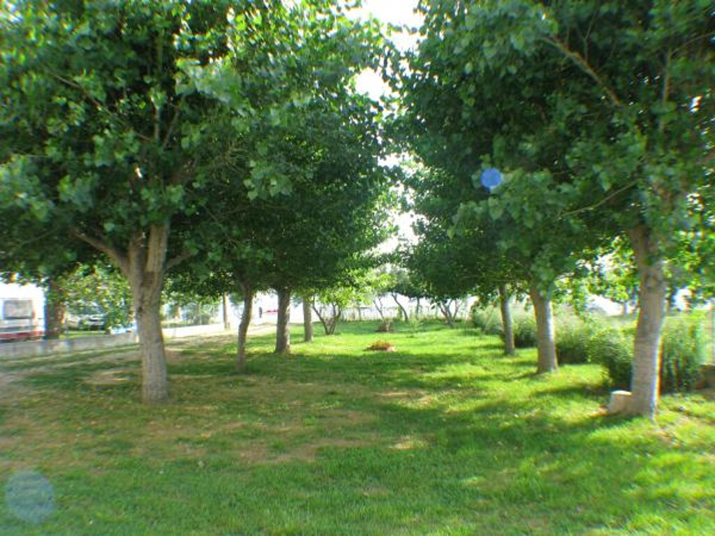 Image 3810742 - 3
