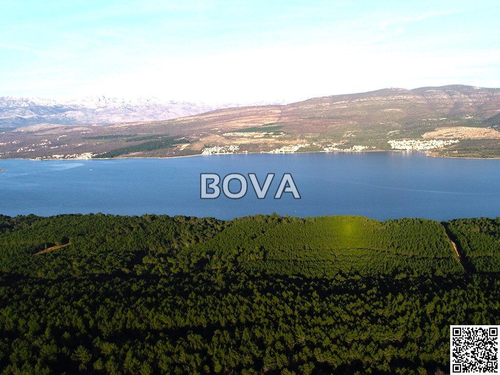 Image 5623351 - 1