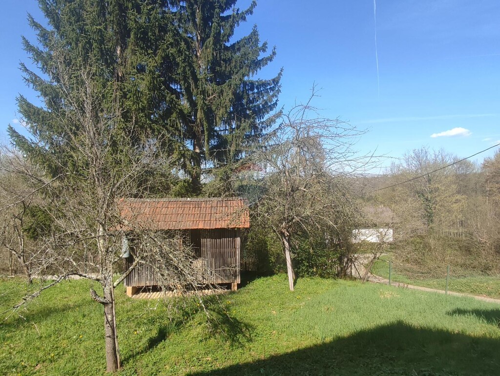 Image 13
