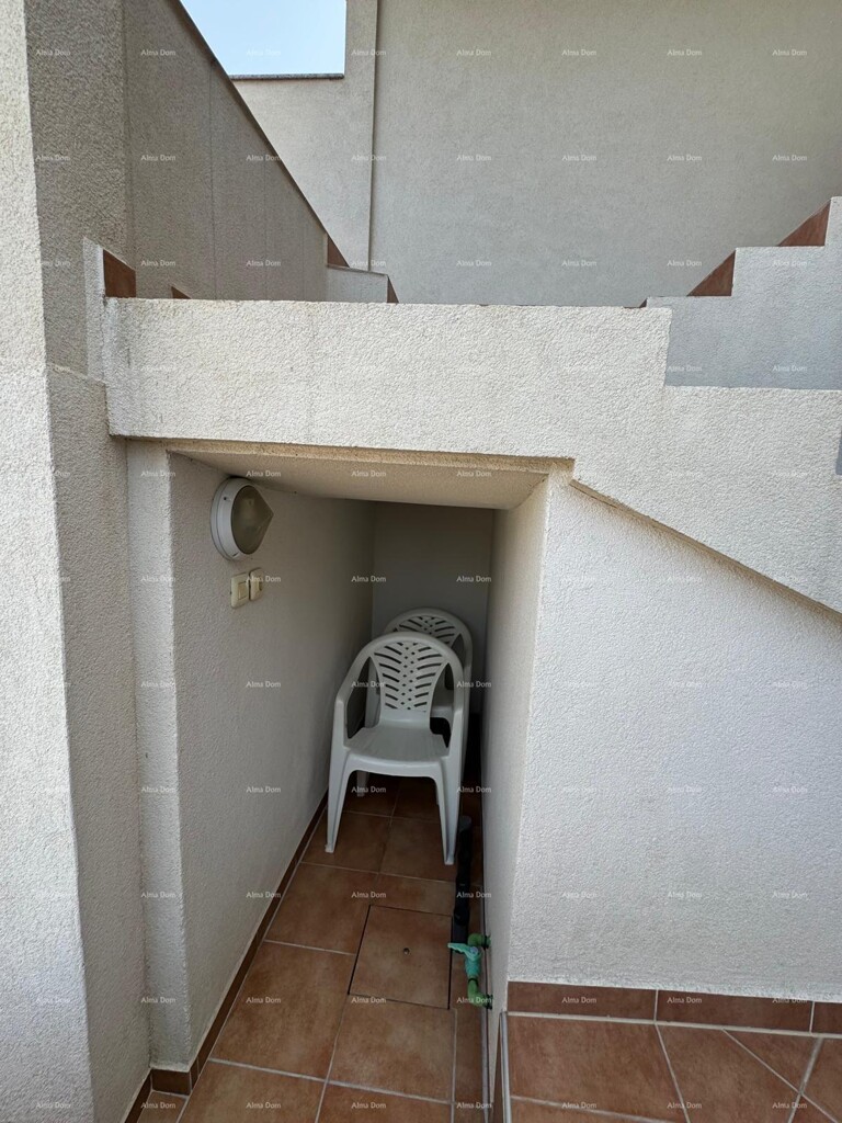 Image 19