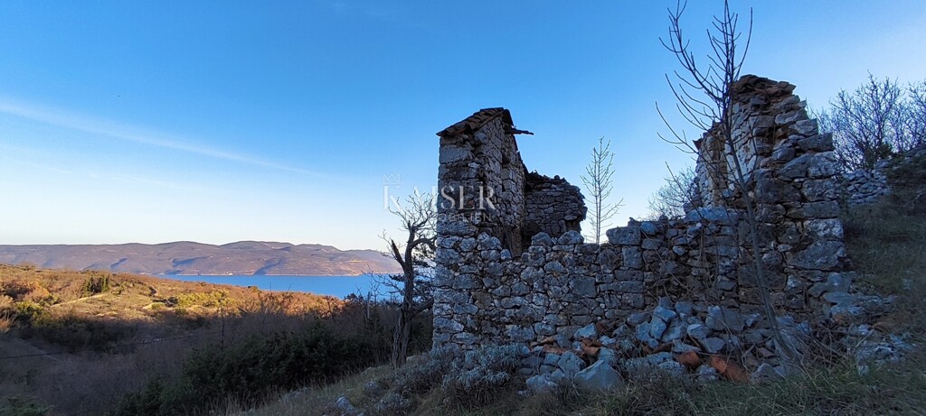 Image 15