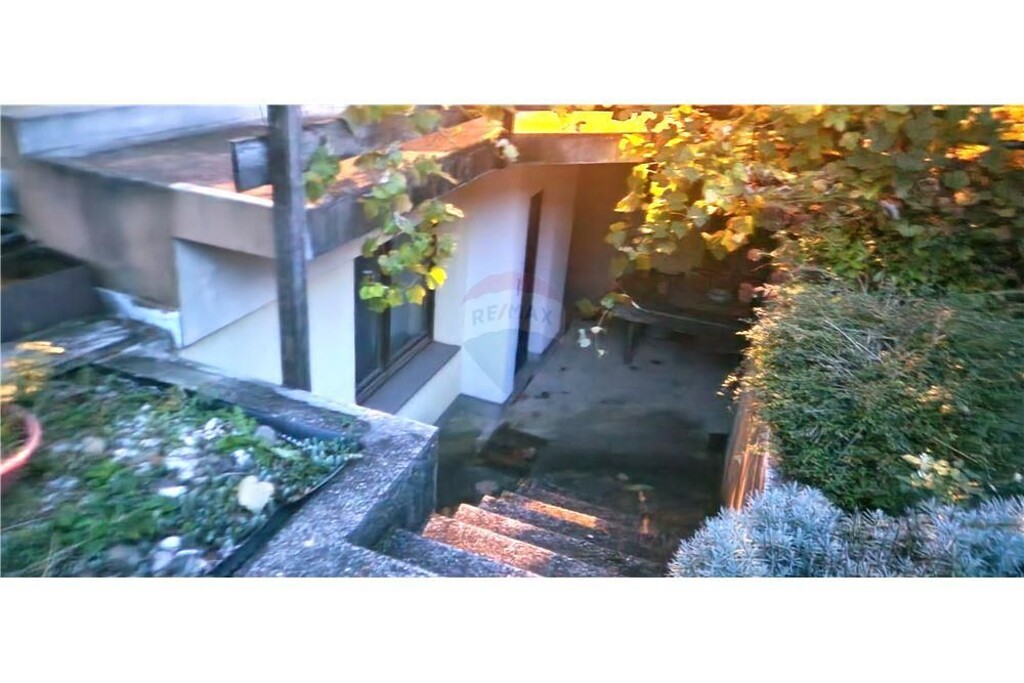 Image 13