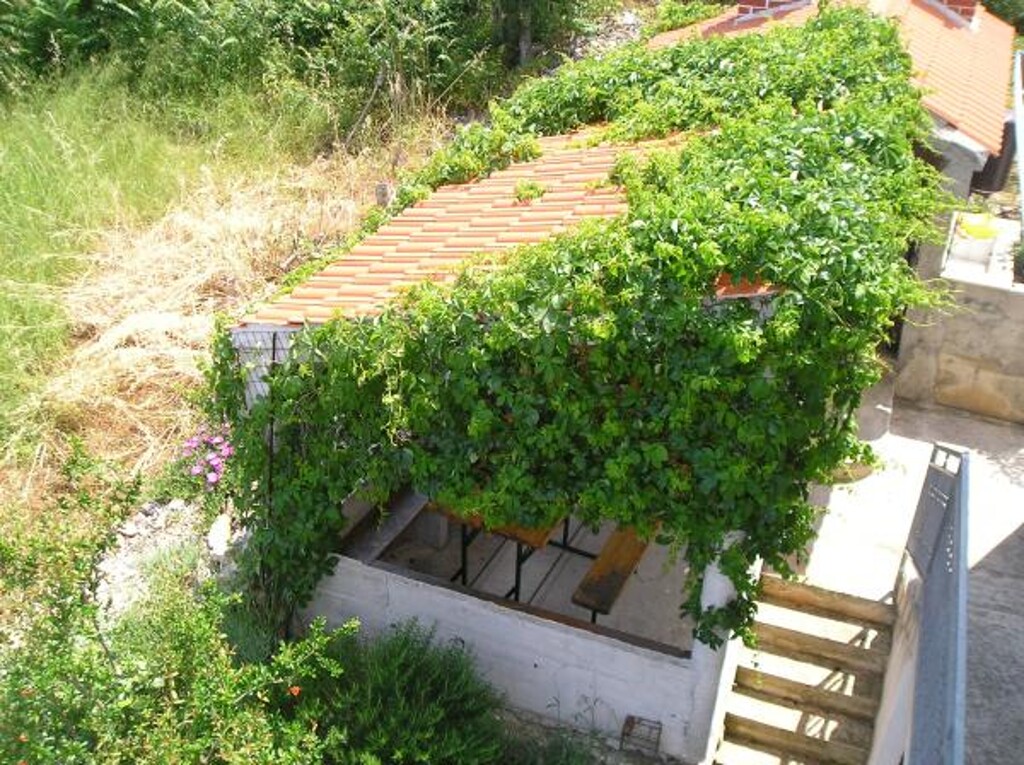 Image 3812795 - 17