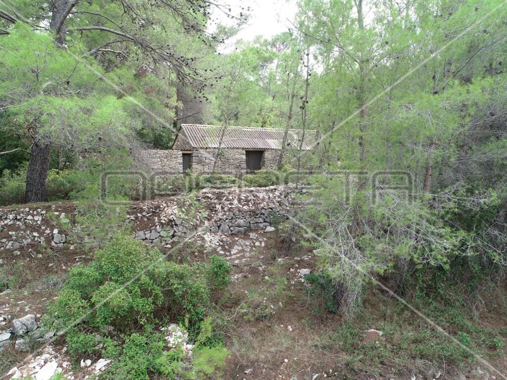 Image 13