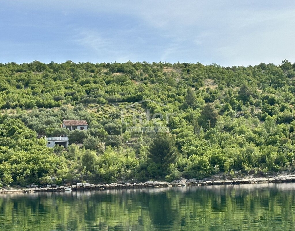 Image 8