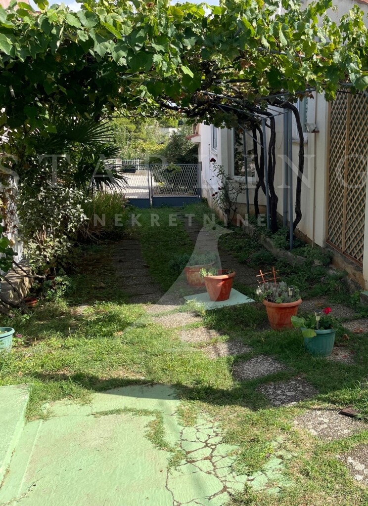 Image 19