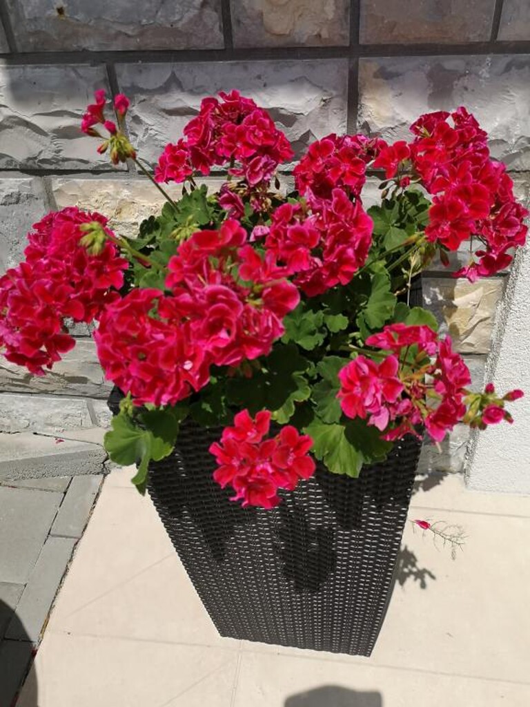 Image 14